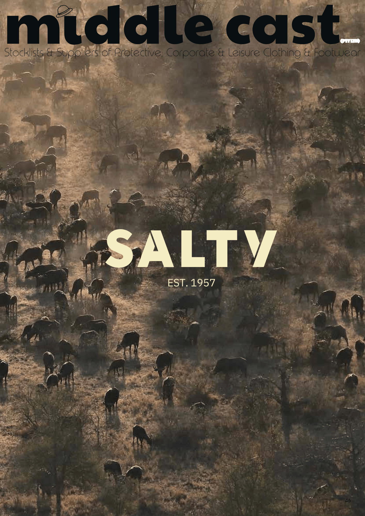 Salty cover Salty
